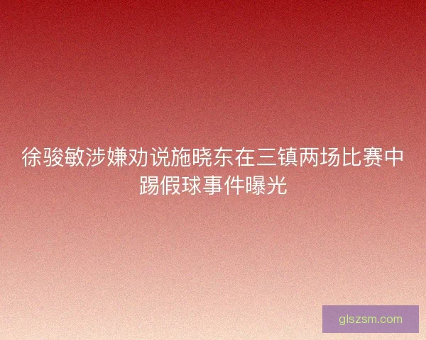 徐骏敏涉嫌劝说施晓东在三镇两场比赛中踢假球事件曝光